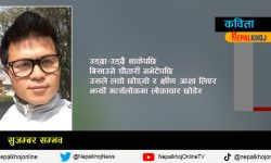 हाँगो लाछिएको चरा !