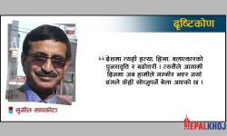 नयाँ वर्ष र हामी !