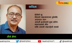 लँगौटीले मुख छोपेर हाँसिरहेको सरकार !