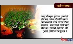 हिन्दु धर्ममा तुलसीको महत्त्व !