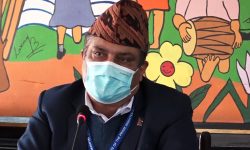 जोखिम भत्ताको पुनः व्यवस्था मिलाई दिन संसदीय समितिमा गुहार