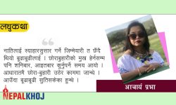 अमेरिकी जिन्दगी