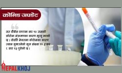 चौबीस घण्टामा ३ हजार ९३५ डिस्चार्ज, हालसम्म कोरोनाले ११ हजार ८९२ जनाको मृत्यु
