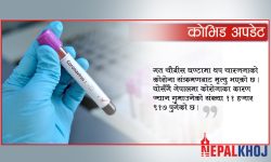 चौबीस घण्टामा १,२७२ जना डिस्चार्ज, ३५० संक्रमित थपिए