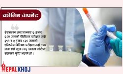 चौबीस घण्टामा थपिए ४७६ संक्रमित, ८३१ जना डिस्चार्ज