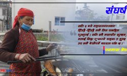 सुनसान रातमा हरिया मकै खोज्दै हिँड्ने धनमायाको कथा…