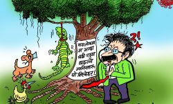 घोचपेच !