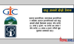 कुन बिमा कम्पनीहरूको खुद मुनाफा कति ?, यस्तो छ वित्तीय अवस्था