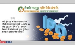खुल्यो नेष्डो समृद्ध लघुवित्तको आईपीओ, कति कित्ता भर्ने ?