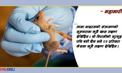 लासा भाइरसले घचघच्यायो ढोका, यसको पनि छैन उपचार !