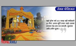 मेन्तोमा कागती उत्सव ! (तस्बिरसहित)