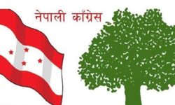 जिल्ला र प्रदेशसभा निर्वाचन क्षेत्रका लागि प्रतिनिधि खटाइयो