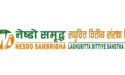 नेष्डो समृद्धको आईपीओ फागुन ११ बाट आउँदै, कति कित्ता भर्ने ?