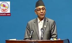 प्रधानमन्त्रीलाई प्रेम सुवालको प्रश्न- सित्तैमा आएको विष पिए के होला ?