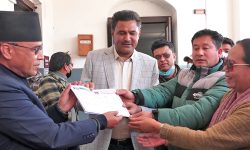 सामाजिक एकता पार्टीको औपचारिक घोषणा