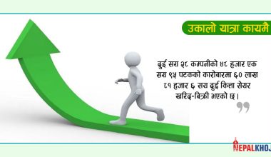 १७ अंकले नेप्से बढ्दा ३ अर्ब २१ करोडको कारोबार