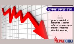 १५ अंकले नेप्से घट्दा ३ अर्ब १३ करोडको कारोबार