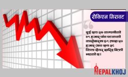 ११ दशमलव ९६ अंकले नेप्से घट्दा ३ अर्ब ८२ करोडको कारोबार