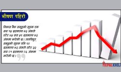 राताम्मे बन्यो नेप्से, ५८ अंकले घट्दा ४ अर्ब २९ करोडको कारोबार