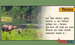 ‘पर्यावरण र जलचरका लागि सिमसार उपयोगी’