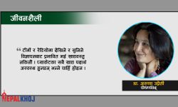 सस्तो मकैको च्याख्ला कि महँगो कर्न फ्लेक्स खाने ?, विज्ञापनको पछि नलागौं