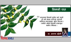 परम्परागत औषधि र आधुनिक विज्ञान