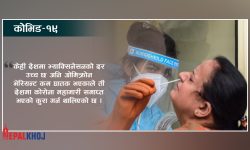 कोरोनाले हरेक साता ७० हजारको मृत्यु