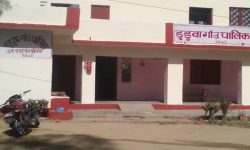 ऐलानी जग्गामा गिद्धे नजर, गाउँपालिका प्रमुखले नै बस्न लगाए आफन्तीलाई