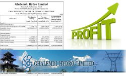 घलेम्दी नाफा बढ्यो, वित्तीय अवस्था कस्तो ?