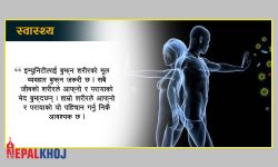 इम्युनिटी के हो के होइन ?