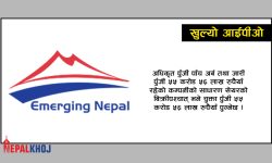 खुल्यो इमर्जिङ नेपालको आईपीओ, कति कित्ता भर्ने ?