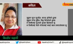 म तिमीलाई माया गर्छु