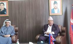 अलपत्र नेपालीको व्यवस्थापनका लागि श्रममन्त्री यूएई जाने