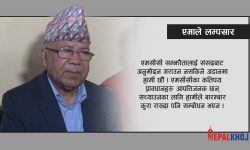 केपी ओली गुटको विदेशीसामु लम्पसार पर्ने नीति : माधव नेपाल