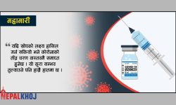 वर्षको मध्यसम्म कोरोनाको तीव्र चरण समाप्त हुनसक्छ