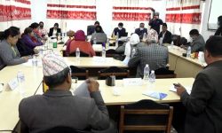 लिभिङ टुगेदरको समस्या सम्बोधन गर्ने कानुन बनाउन विज्ञहरुको सुझाव