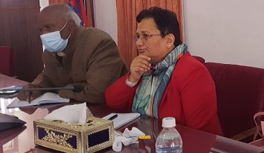 डलरमा खरिद गरेर ल्याएको ग्यासभन्दा देशभित्र उत्पादन भएको ऊर्जा प्रयोग गर्नुपर्छ : पम्फा भुसाल