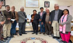 ‘निकाय बनाएर हाइड्रोजन ऊर्जा उत्पादन गर्न सुझाव’