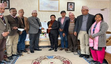 ‘निकाय बनाएर हाइड्रोजन ऊर्जा उत्पादन गर्न सुझाव’
