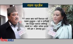 ‘राप्रपालाई बलियो शक्ति बनाउने कमल थापाको प्रतिबद्धता’
