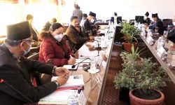 एमालेसँग संवाद गरेर संसद् नियमित गराउन बैठक फलदायी : सभामुख सापकोटा