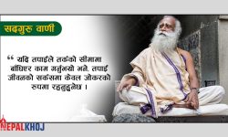 ‘आफ्नो प्रेम, आनन्द र उल्लासलाई नरोक्नुहोस्’