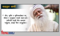 ‘जब तपाईंमा जीवित हुनुको अनुभव गहन बन्छ, त्यसपछि गरिने हरेक काम सार्थक बन्छ’