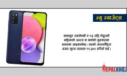 लो बजेटमा सामसुङ ग्यालेक्सी ए-०३