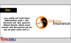 नाम जस्तै काम, शिखर चुम्दै  शिखर इन्स्योरेन्स