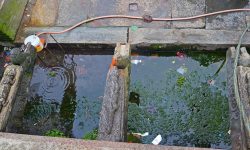 पाटन क्षेत्रका ढुंगेधारा संरक्षण अभावमा लोप हुँदै                      (फोटोफिचर)