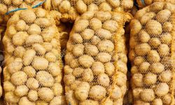 बारामा एक लाख १८ हजार मेट्रिक टनभन्दा बढी आलु उत्पादन