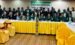 अडानद्वारा चार्टर्ड एकाउन्टेन्टले मात्र अडिट गर्न पाउने प्रावधान हटाउन माग