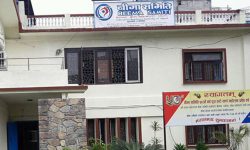 बिमा समितिको पछिल्लो व्यवस्था धेरैवटा बिमा कम्पनीका लागि किन बन्यो फलामको चिउरा ?