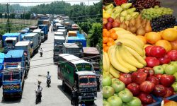 भारत, चीनलगायत देशबाट नेपालमा फलफूलको आयात आकासियो